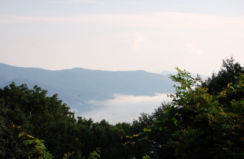 Great Smokey Mountains