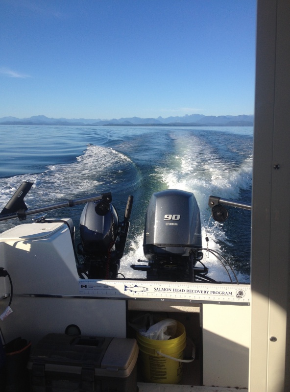 Great weather, beautiful scenery Campbell River