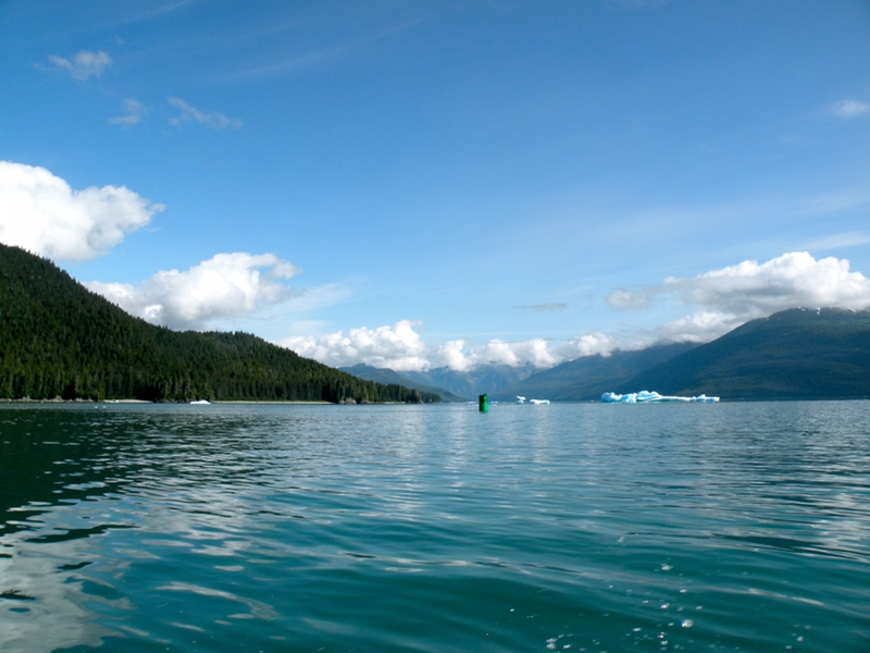 Green can at entrance to Tracy Inlet