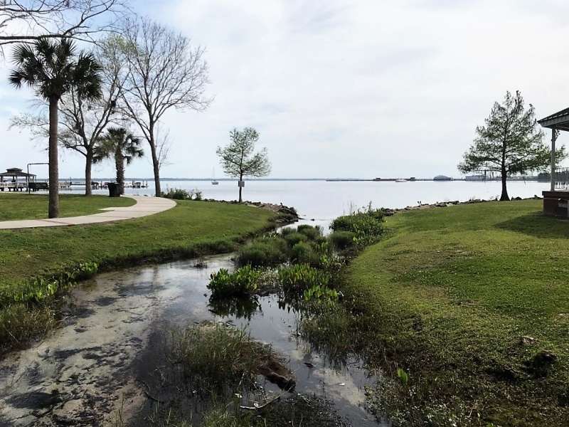 Green Cove Springs emptying into the St. John\'s.  You can barely make out the public docks in the left background.
