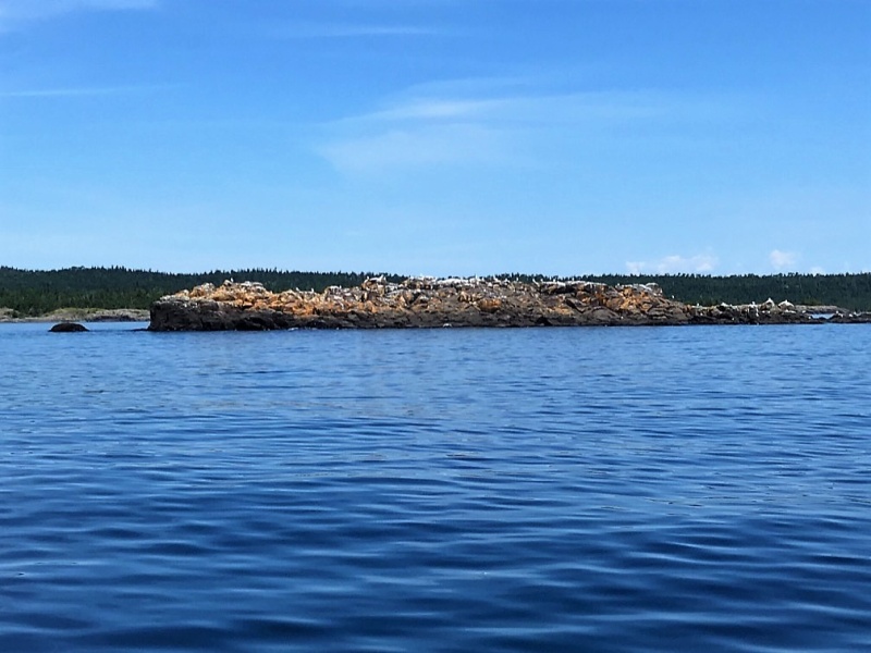 Gull Rock