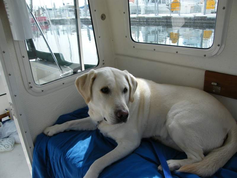 Gus likes the boat life!