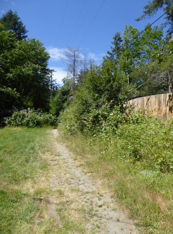 Had to ask directions to find the store...go up that path and take a right!