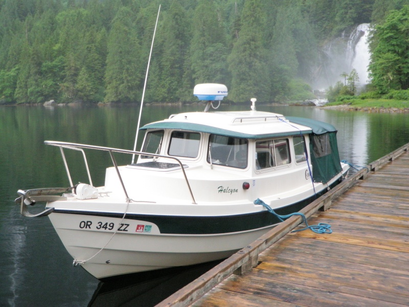 Halcyon at chatterbox Falls