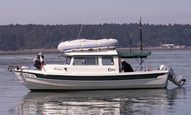Halcyon on the Nisqually Delta 7-14-07
