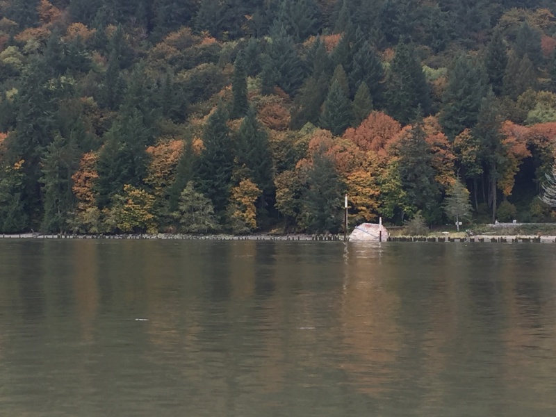 Half sunken ship along the shore