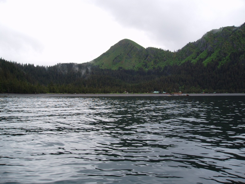 Halibut Cove Fox Island Kenai Fjords Tour's Salmon Bake and Over Night Lodge