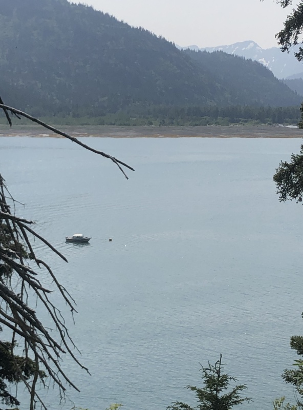 Halibut Cove.