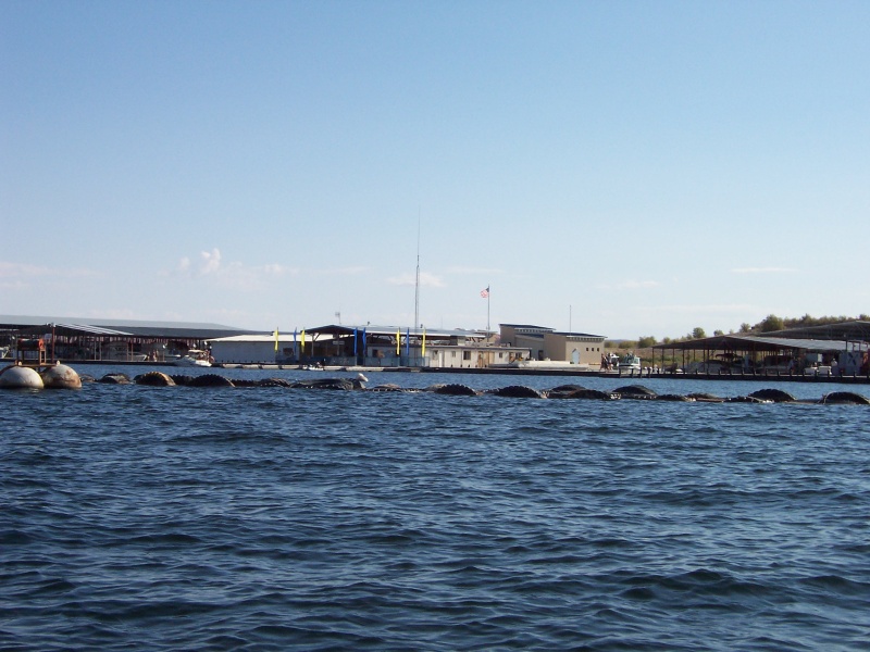 Halls Crossing floating store, boat repair and NPS boat dock.