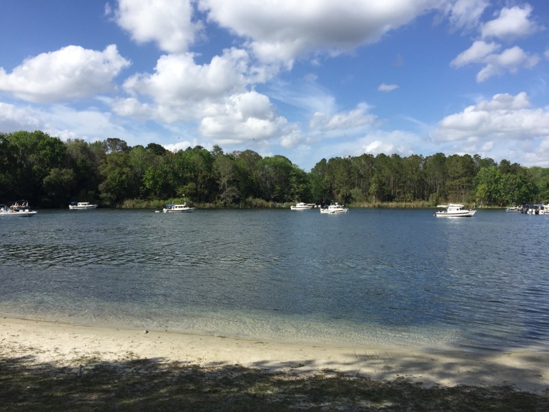 Hanging out in Salt Springs.