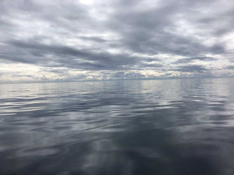 Haro Strait