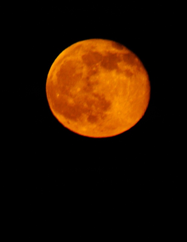 Harvest Moon Over Apalach seen from Riverfront Park