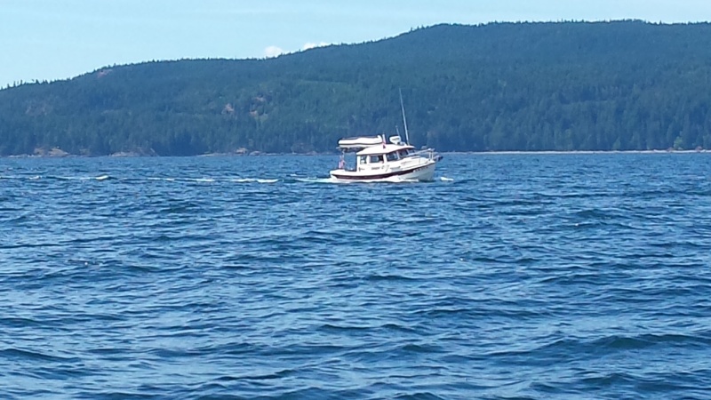 Harvey in Desolation Sound