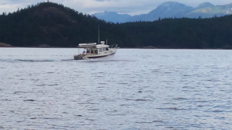 Harvey on Sleep C - 
Desolation Sound
