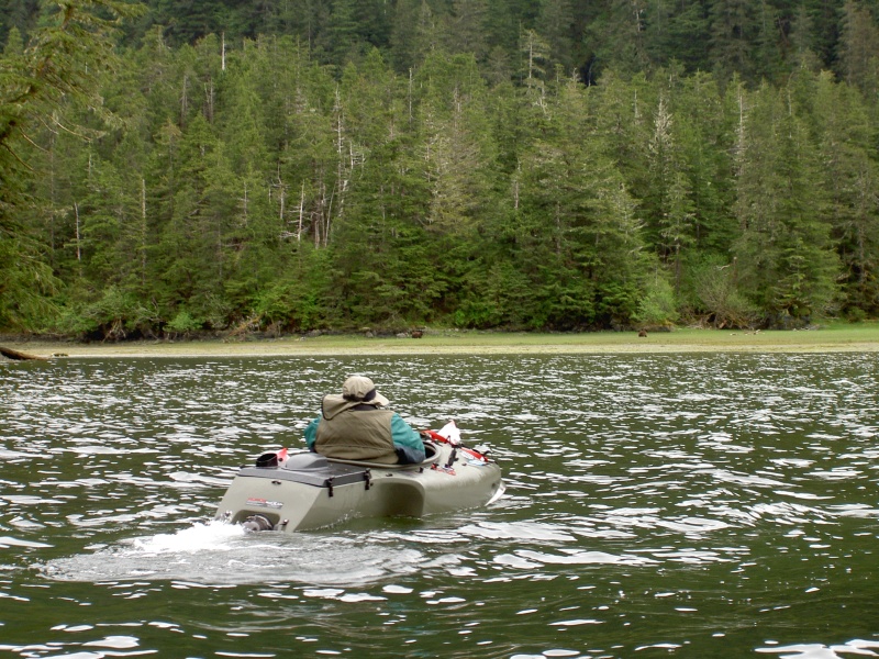 headed toward two bears in mokai