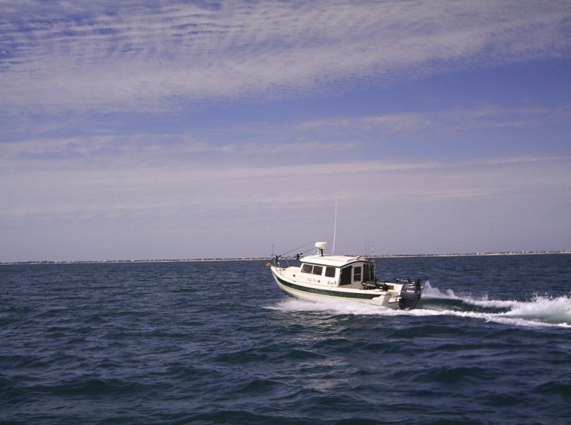 Heading back to Apalachicola. Thanks to C-Pearl for the pic!