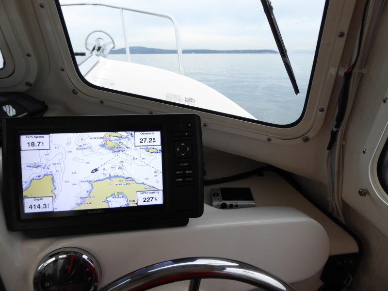 Heading out for some whale watching Friday morning