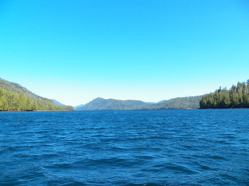 Heading south.