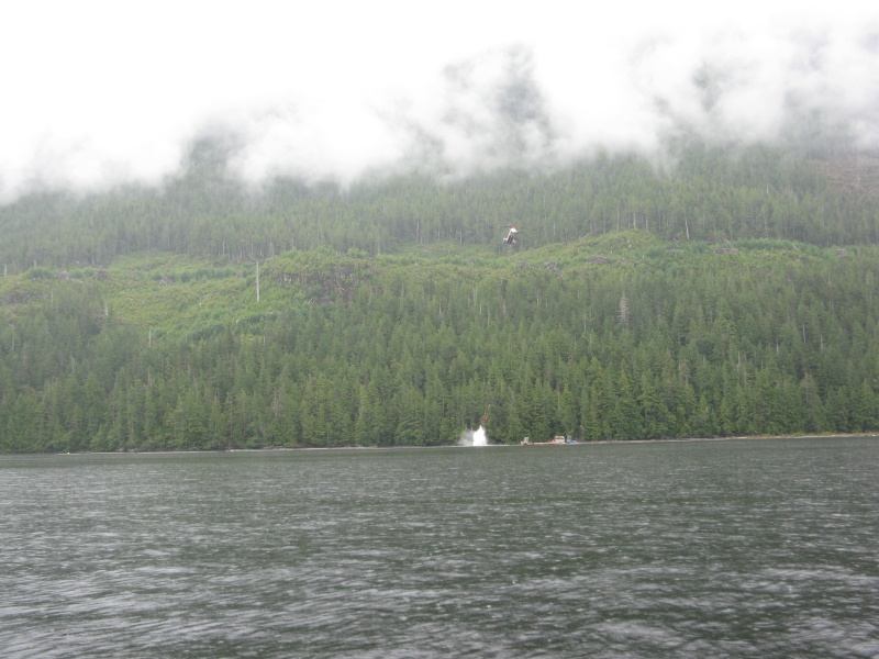 Helicopter Logging, Cousins Inlet