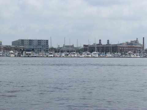 Henderson's Wharf marina baltimore. stayed here lots of summer livaboards from Florida who work at the marina part time. Great marina nice people.