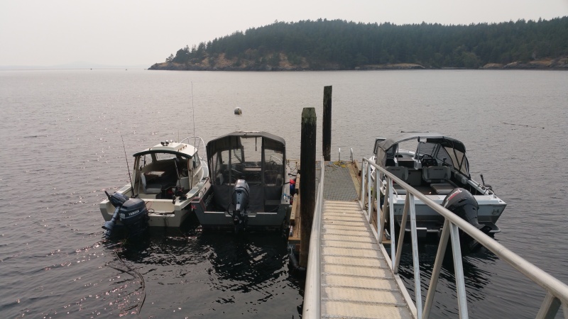 Henry island