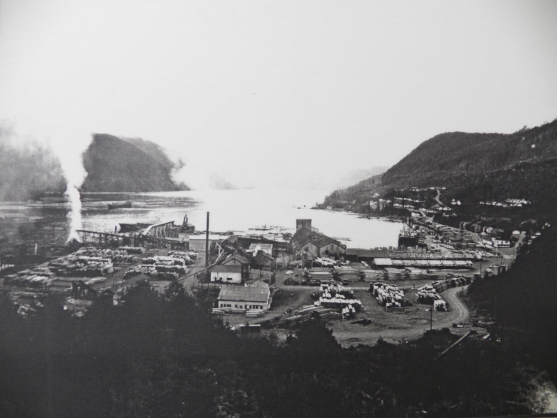 Here is what Tahsis looked like up until the 1960's.