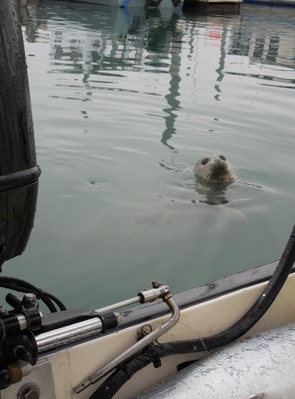 Hey, "you know there are Kings laying in that splash well right"?