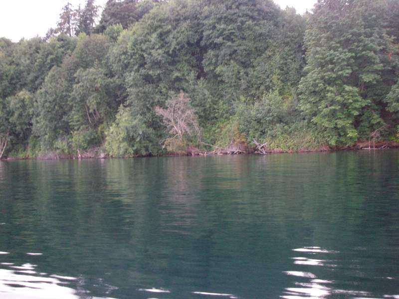 High, slack water, Tacoma Narrows