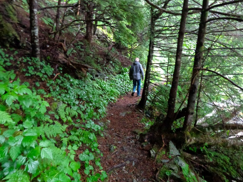 Hiking through rain forest in Elfin Cove