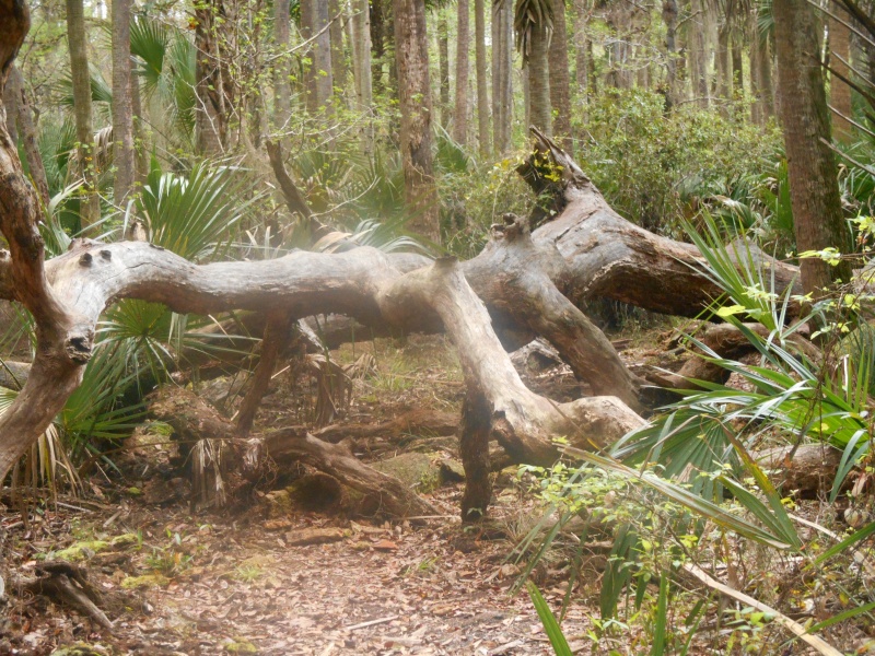 Hiking trails everywhere.