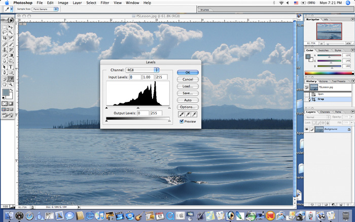 Histogram