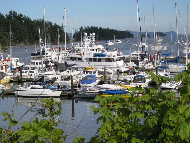 Hobnobbing with the hoi poloi. Ganges Island, Salt Spring Marina.