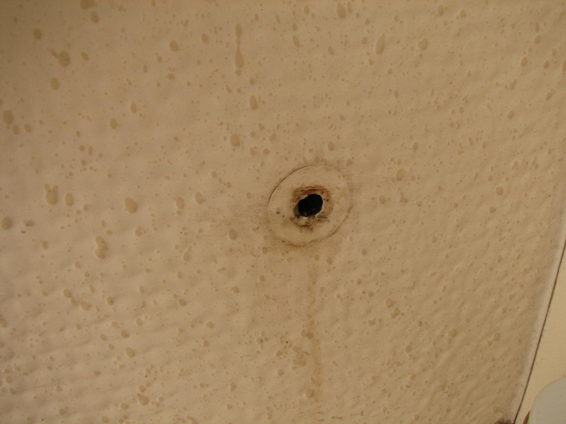 Hole, filled with clear epoxy, where 2\" #12 screw went into either core or support for foreward deck--was damp, dryed, epoxied and screw reset with sealant.  The joint between the cockpit floor and aft bulkhead is now sealed to prevent any further water intrusion.