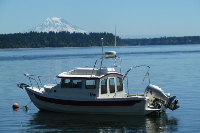 Home anchor, Steamboat Island, south Puget Sound.  Mt Rainier in distance.