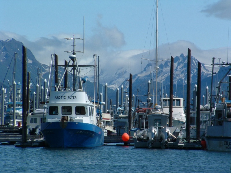 Homer Alaska