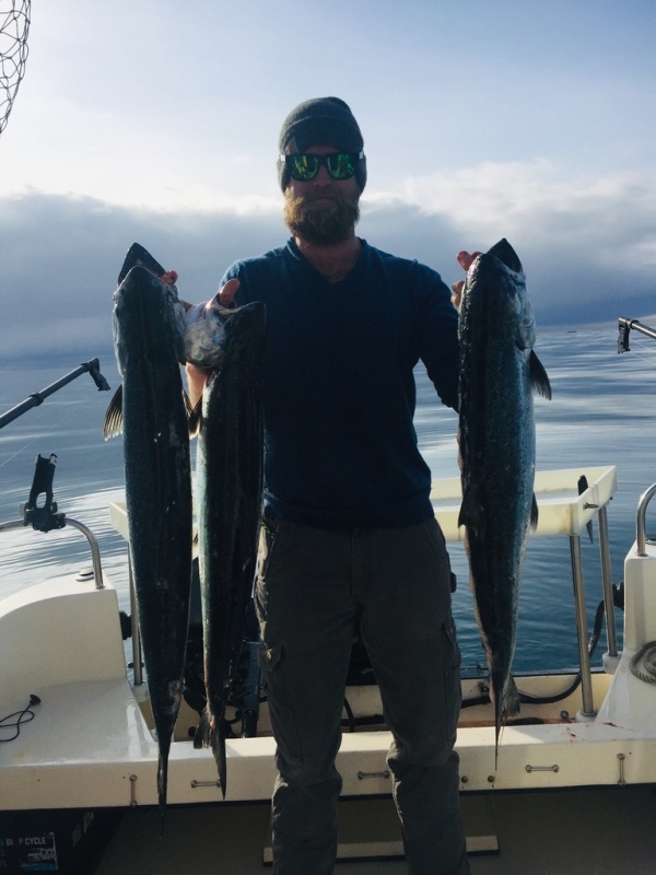 Homer Kings 03/04/19