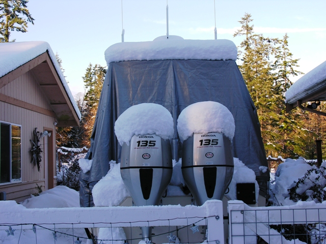 HondaPopsicles