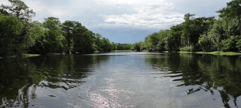 Hontoon Dead River