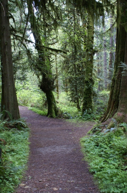 Hood Canal, Apr 30 - May 04, 2012 036 Twanoh State Park