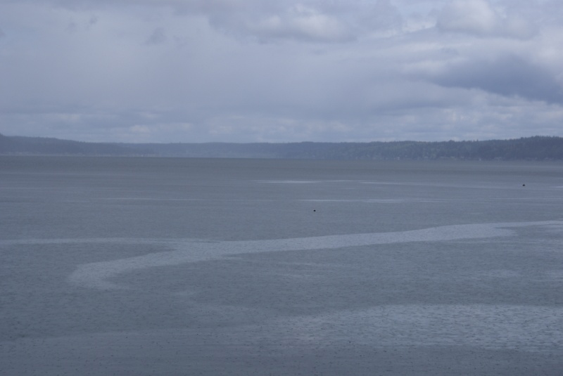 Hood Canal, Apr 30 - May 04, 2012 044 Twanoh State Park.  Rain arriving.