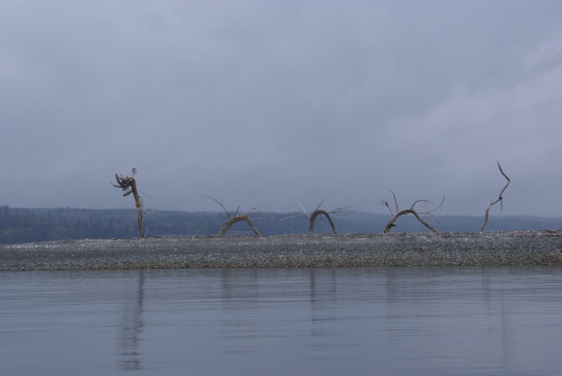 Hood Canal, Apr 30 - May 04, 2012 096 Sea Monster at Hood Head from north of the spit