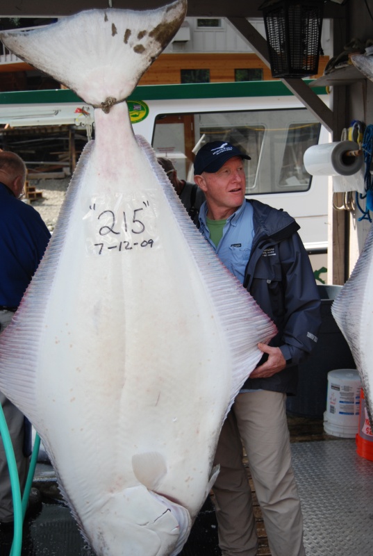 hooked this Aussie up with a few Halibut dinners