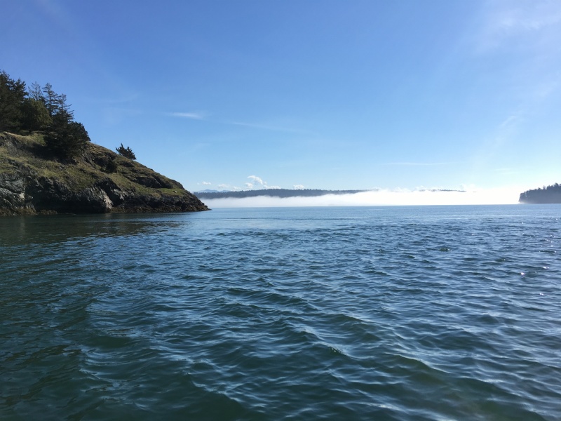 Hope Island still in fog