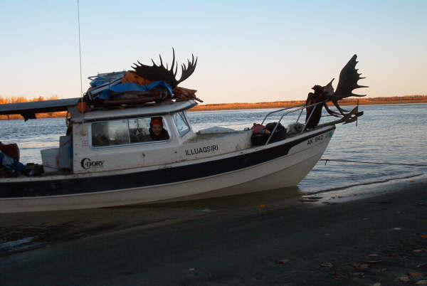 Horny boat.JPG