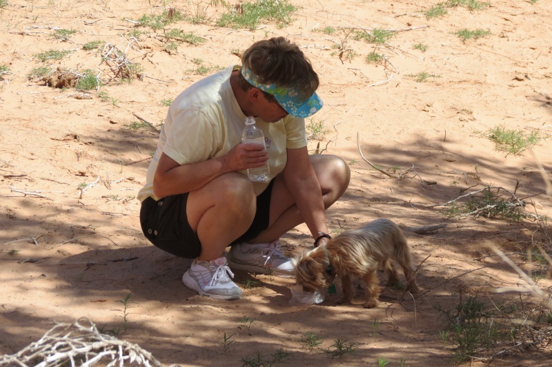 Hot hiking in the desert