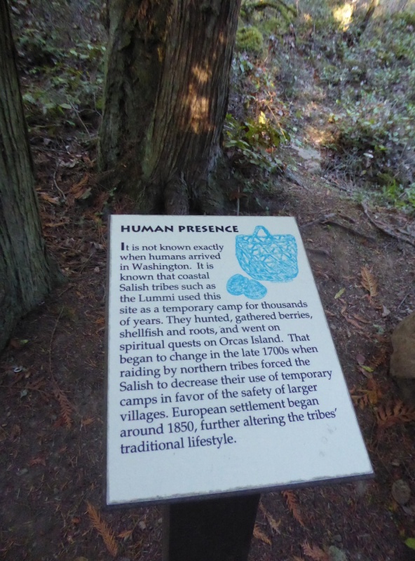 Human Presence