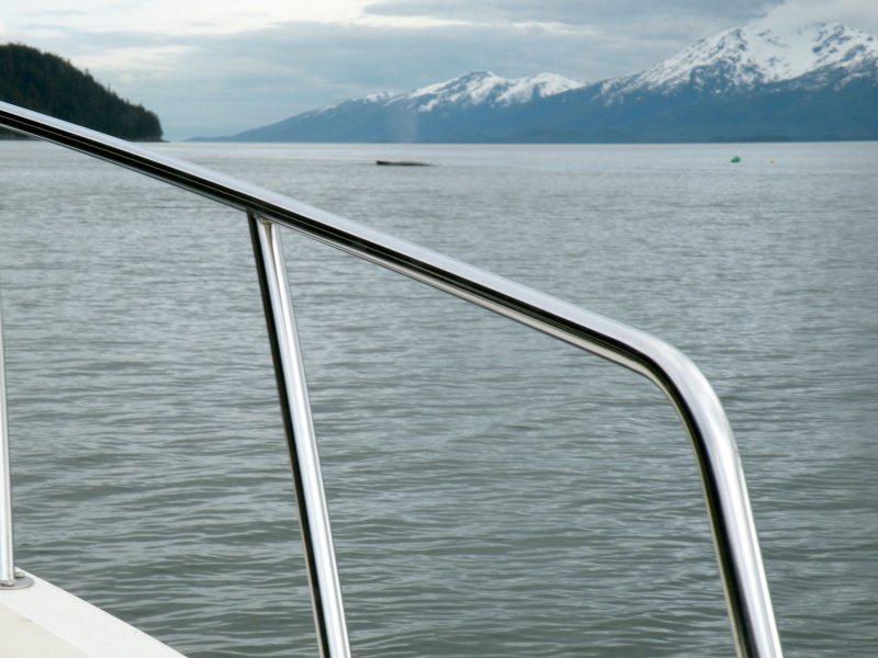 Humpback crossing our path outside Taku Inlet