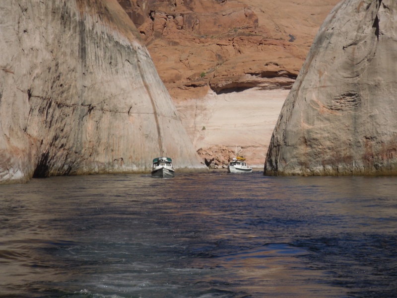 Hunky Dory & Bossa Nova in Annie's Canyon by Rana Verde