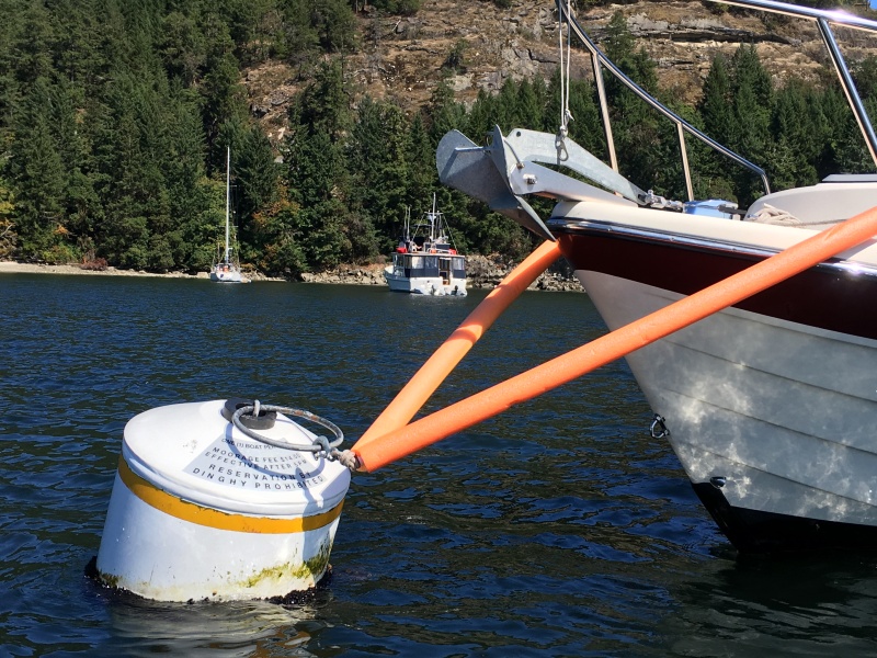 I have a latch connecting to the mooring ring. The latch came from a winch strap that I had replaced on the trailer. If so desired I can simply loop the latch thru the ring and attach it back on the noodle lines (depending on the nature of the mooring attachment).