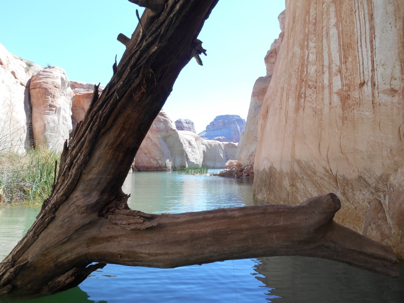 I named this place "Many Fish Canyon".